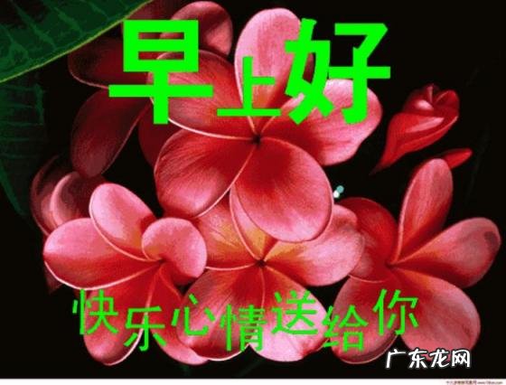 乐观好心态图片搞笑 心态如阳光明媚