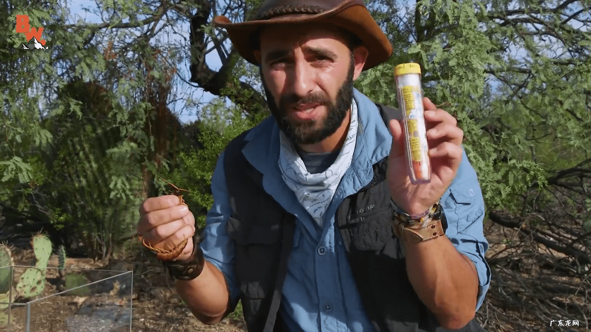 蜈蚣咬人会中毒吗 蜈蚣有毒吗会致死吗