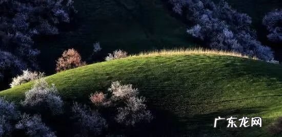 八月最适合去哪些地方旅游 八月份适合去哪里旅游