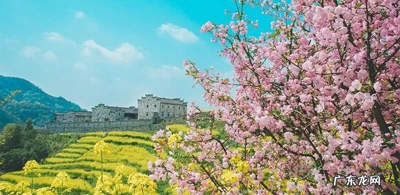 八月最适合去哪些地方旅游 八月份适合去哪里旅游