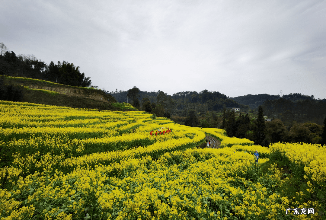 八月最适合去哪些地方旅游 八月份适合去哪里旅游