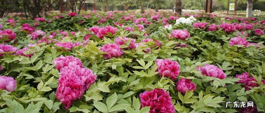 八月最适合去哪些地方旅游 八月份适合去哪里旅游