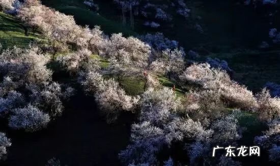 八月最适合去哪些地方旅游 八月份适合去哪里旅游