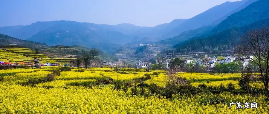 八月最适合去哪些地方旅游 八月份适合去哪里旅游