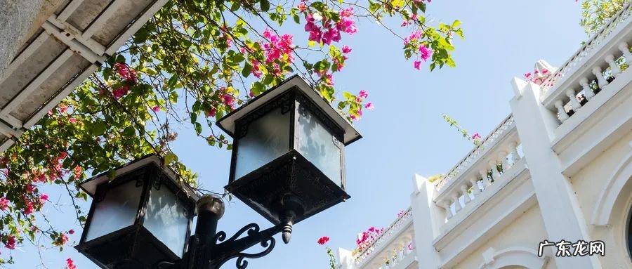 八月最适合去哪些地方旅游 八月份适合去哪里旅游