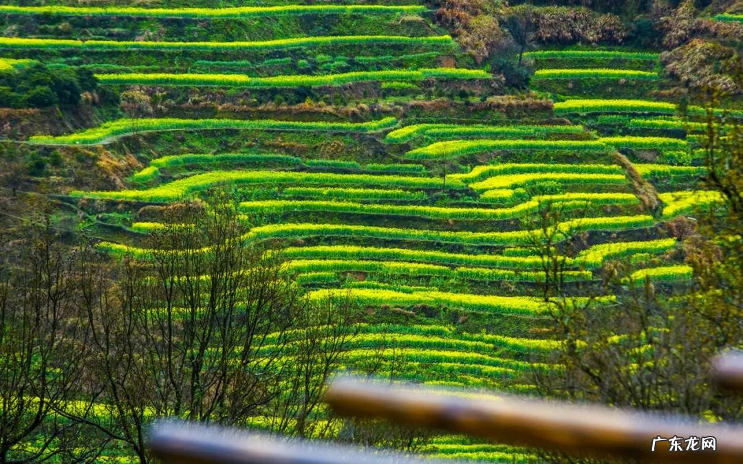 八月最适合去哪些地方旅游 八月份适合去哪里旅游
