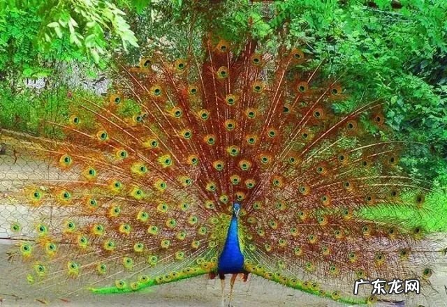 八月最适合去哪些地方旅游 八月份适合去哪里旅游