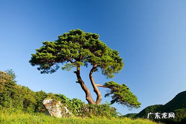农村住宅风水宝地图片 阳宅风水宝地图片大全