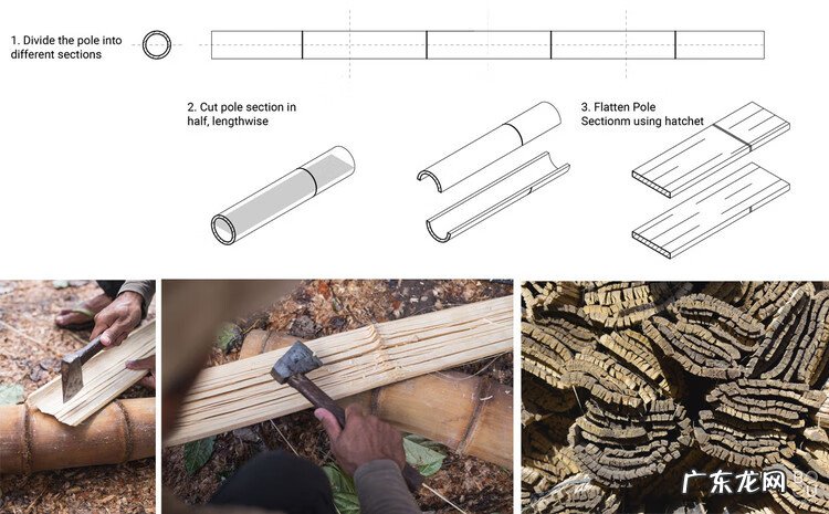 房屋顶上种竹子风水好不好 楼顶种竹子对风水好不好