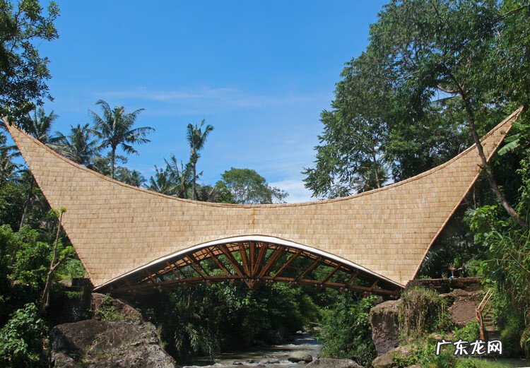 房屋顶上种竹子风水好不好 楼顶种竹子对风水好不好