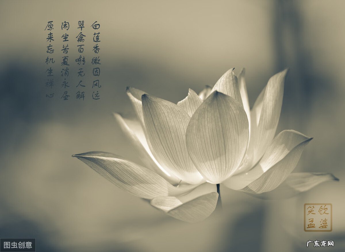 朝与夕 雾朝朝什么意思