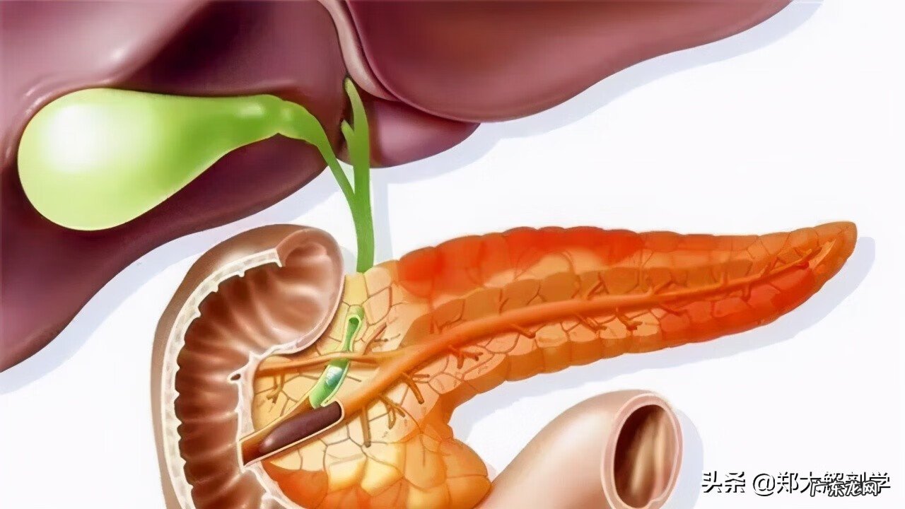 十二指肠息肉是怎么回事 十二指肠息肉
