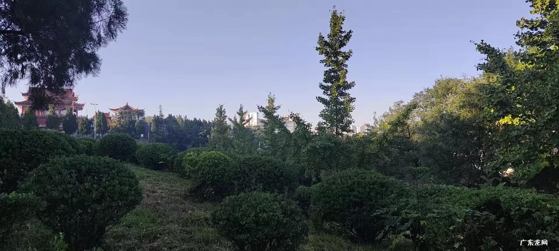 淄博哪里有看风水看得好的 博山焦庄村