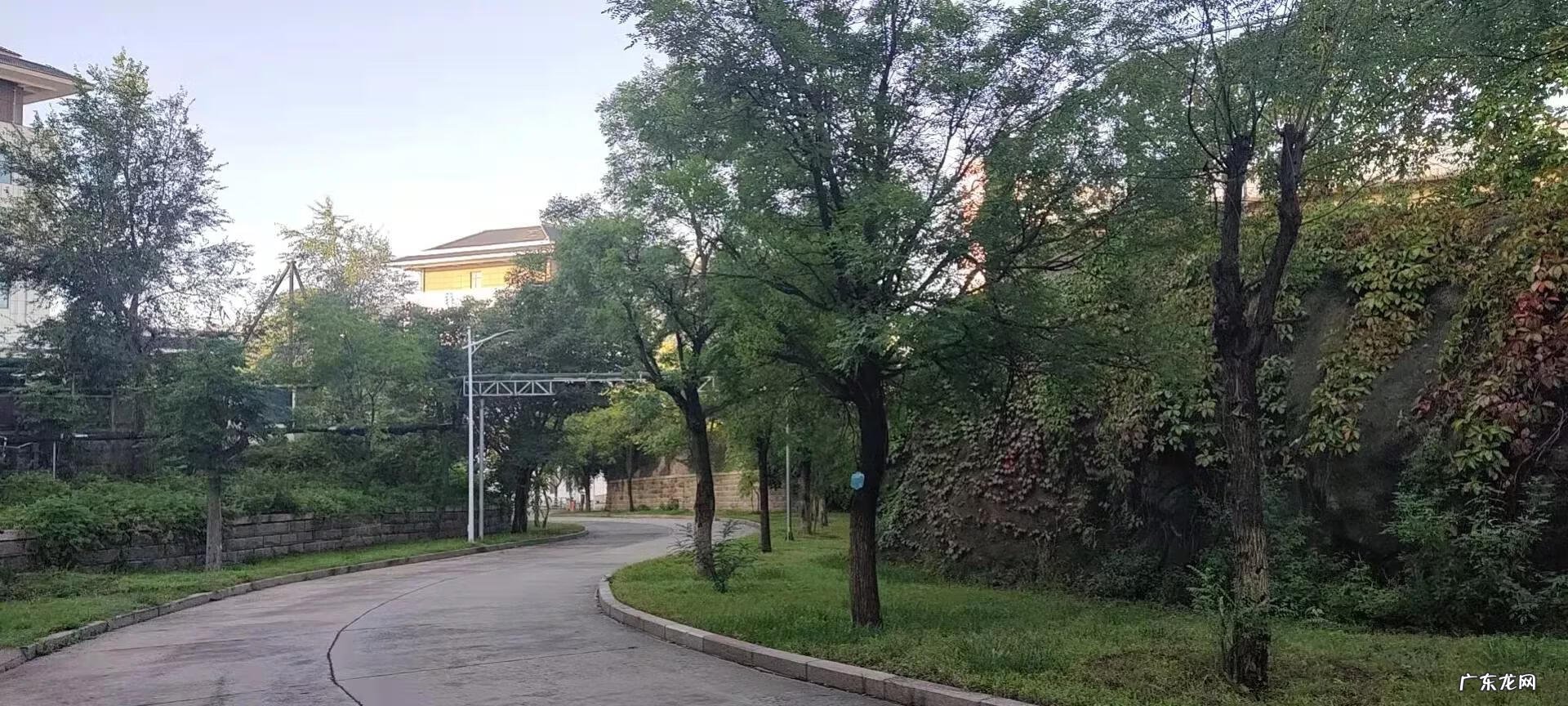 淄博哪里有看风水看得好的 博山焦庄村