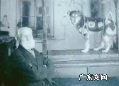 “俄国第一位诺奖得主”88岁巴甫洛夫:养生2个字,健康一辈子