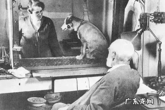 “俄国第一位诺奖得主”88岁巴甫洛夫:养生2个字,健康一辈子