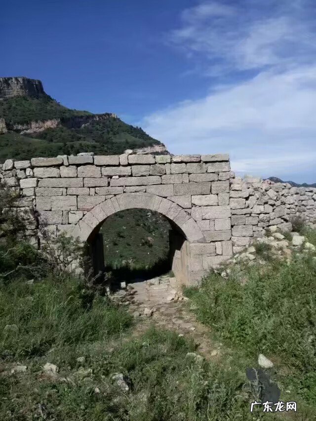 野山葱花 山葱花是什么