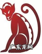 风水宝地打一个生肖 风水地代表哪个生肖