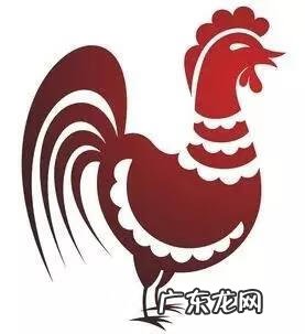 风水宝地打一个生肖 风水地代表哪个生肖