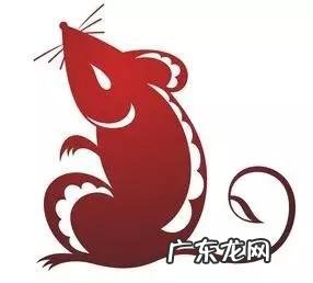 风水宝地打一个生肖 风水地代表哪个生肖