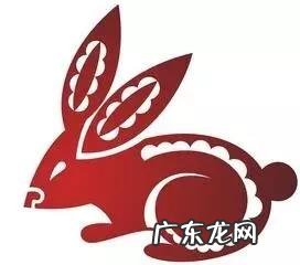 风水宝地打一个生肖 风水地代表哪个生肖