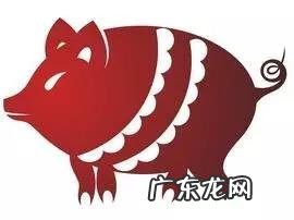 风水宝地打一个生肖 风水地代表哪个生肖