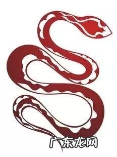 风水宝地打一个生肖 风水地代表哪个生肖