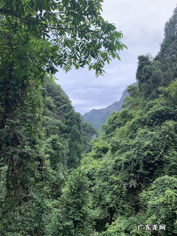 仙人居 仙居何处下一句