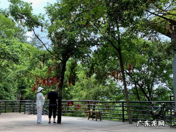 仙人居 仙居何处下一句