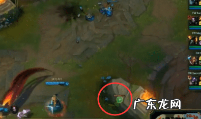 wz战队简介 FW战队