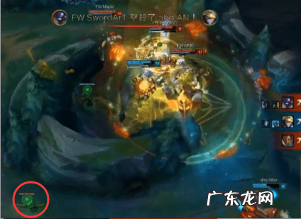 wz战队简介 FW战队