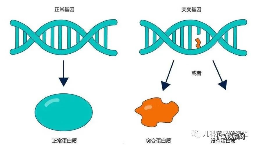 7个月宝宝拉肚子怎么回事 七个月宝宝腹泻是什么原因引起的