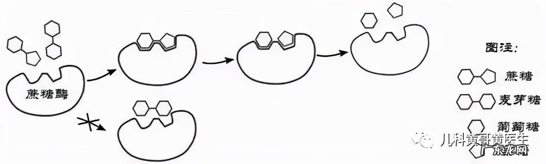 7个月宝宝拉肚子怎么回事 七个月宝宝腹泻是什么原因引起的