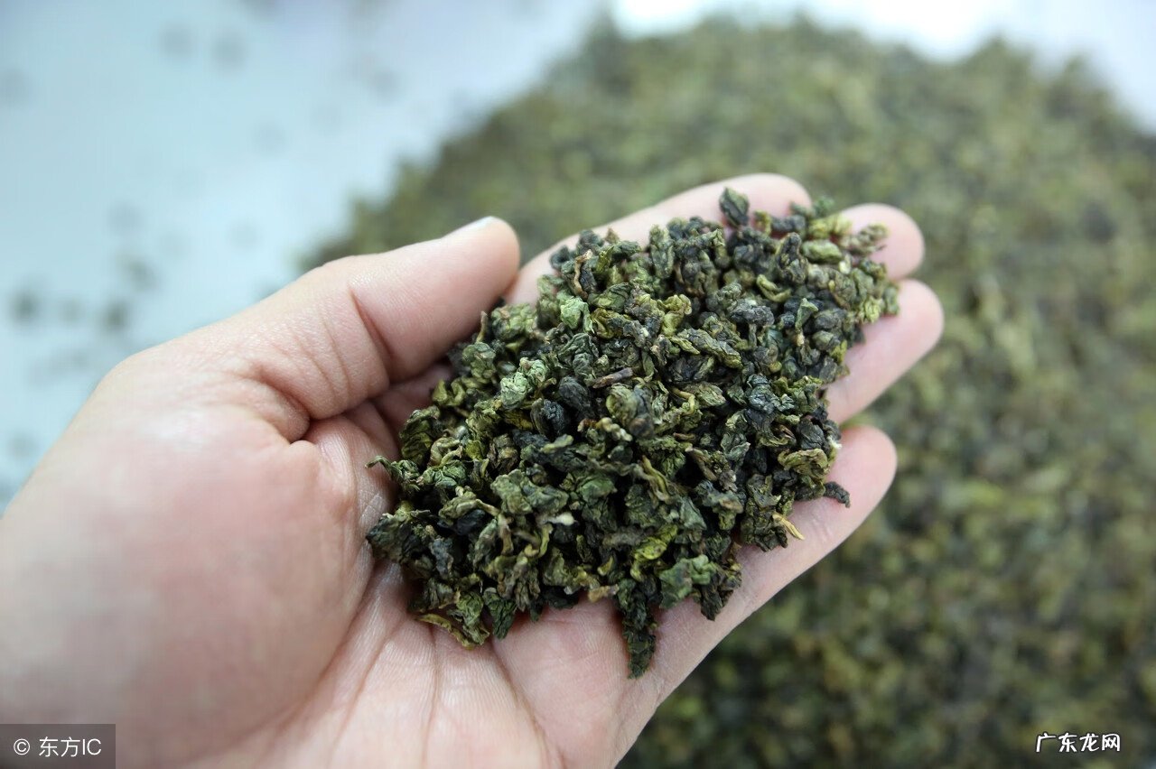 孕妇能喝铁观音吗 怀孕能喝铁观音吗?