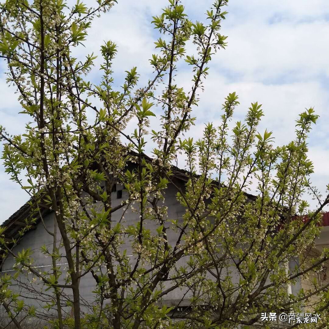 吊顶反支撑做法最简单 怎样学会风水里面反挂撑