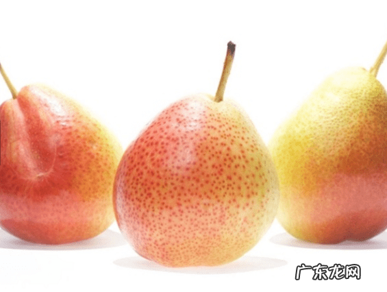 儿童吃什么水果帮助长个 冬天吃什么水果好一点