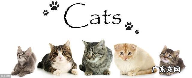 商务英语基础知识 商务英语写作教程