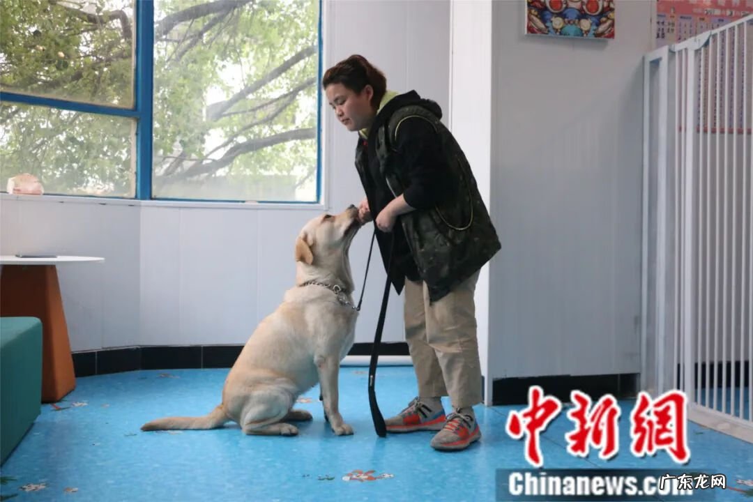 宠物训练师培训 宠物训练课程