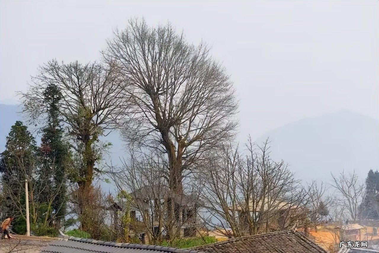 商洛山秦腔 商洛凤冠山自然景区