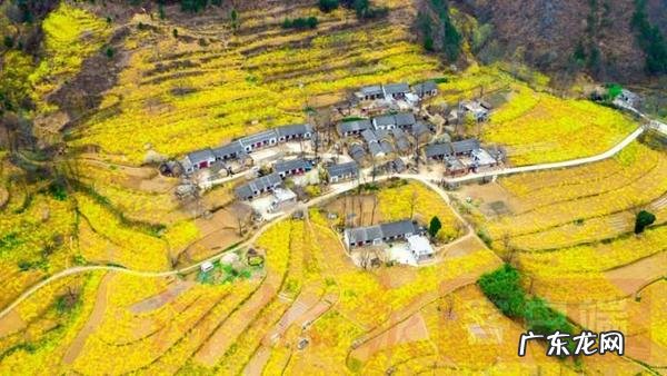 炉石传说游戏 卢氏