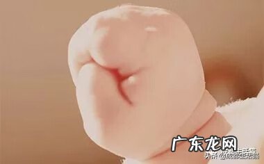 现在国家取消准生证了吗 取消准生证了吗