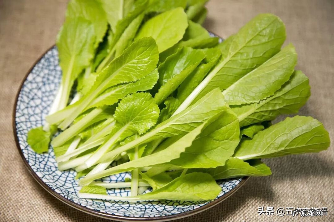 十字花科常见蔬菜 十字花科蔬菜有哪些