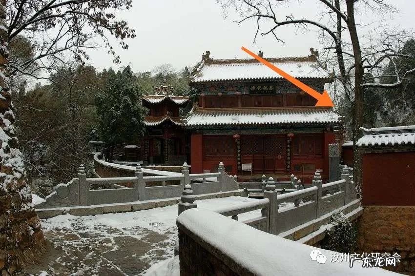 一棵千年古树 千年古树的风水