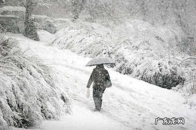 冬天的第一场雪故事编写 冬天的第一场雪作文600字