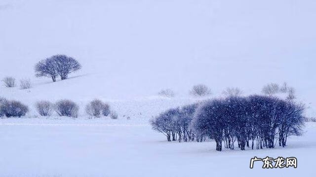 冬天的第一场雪故事编写 冬天的第一场雪作文600字