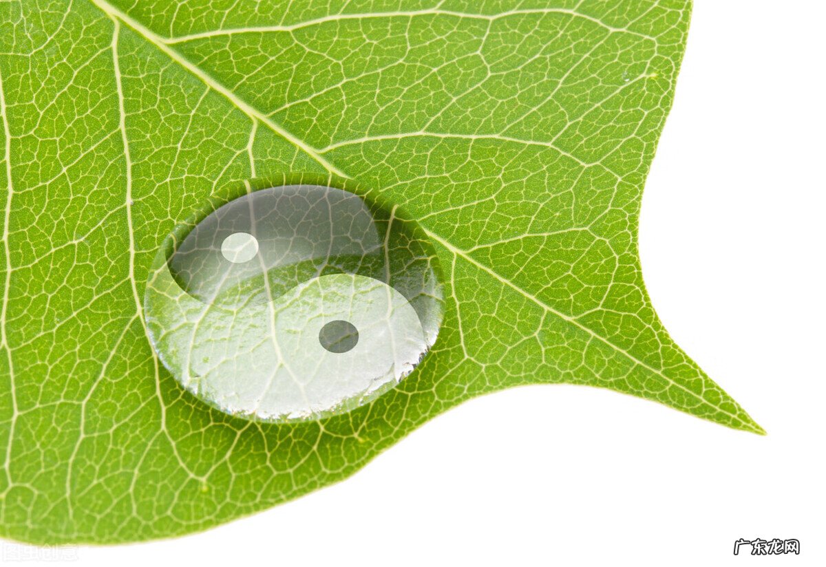 负阴抱阳 风水负阴抱阳