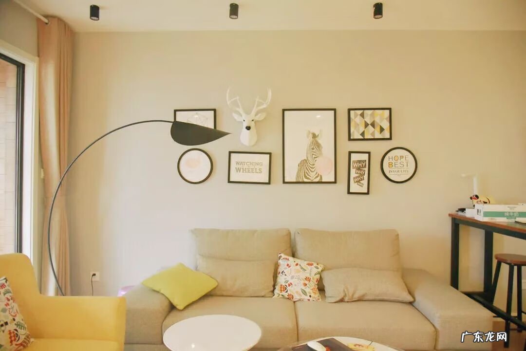 家里摆斑马的寓意是什么 斑马在风水上象征什么