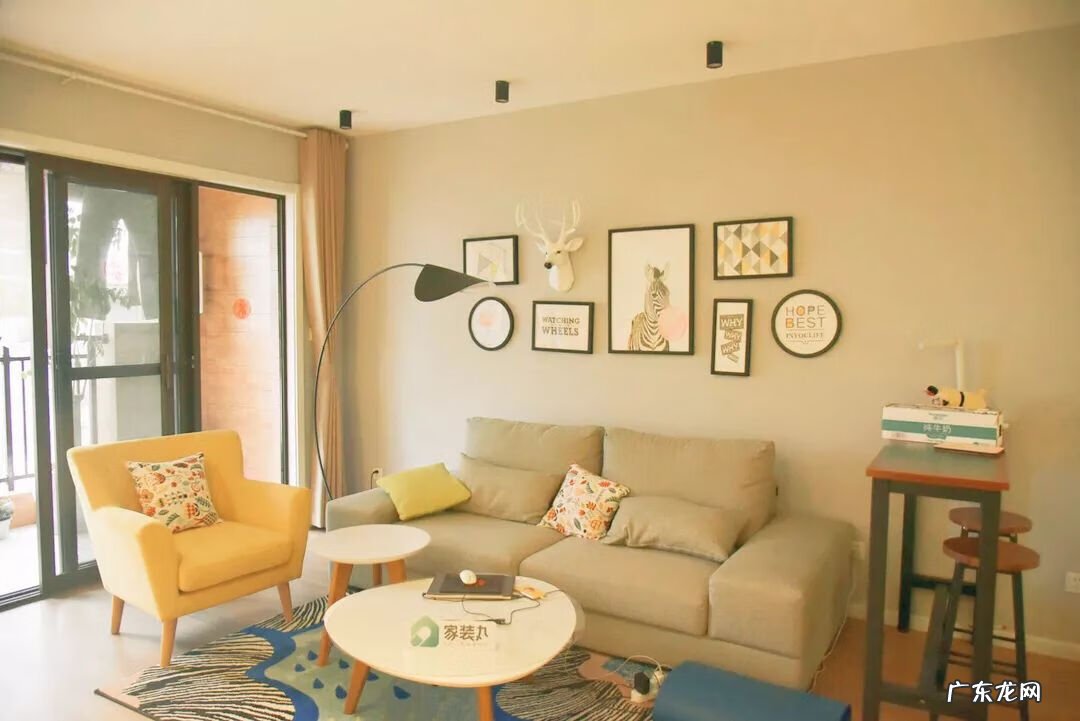 家里摆斑马的寓意是什么 斑马在风水上象征什么