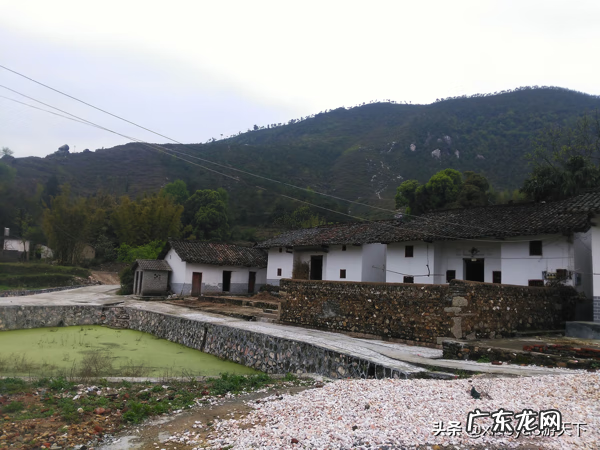 三僚村出名的风水师 三寮村的风水术主要在