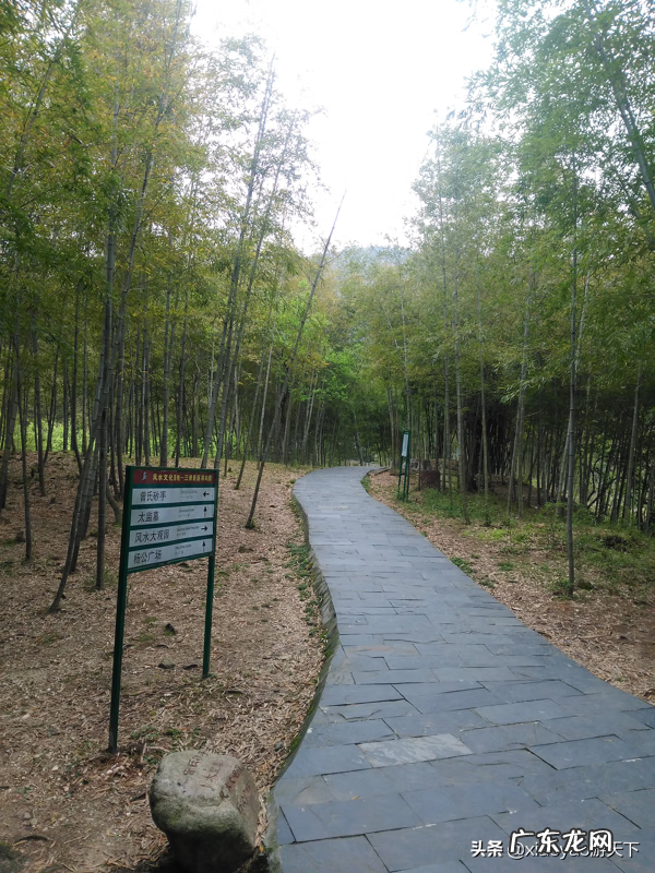 三僚村出名的风水师 三寮村的风水术主要在